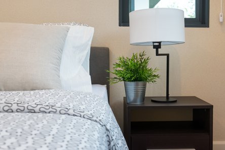 modern bedroom with white lamp and plants on table